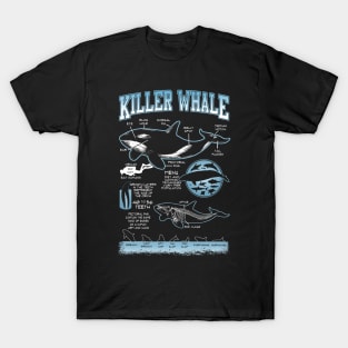 Killer Whale Diagram Physical Characteristics T-Shirt